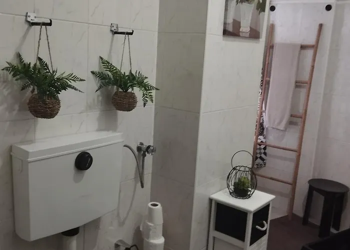 Apartamento Casa Do Adro- Douro